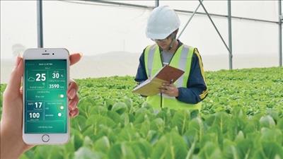 Xây dựng app tra cứu, hướng dẫn phòng trừ sâu bệnh