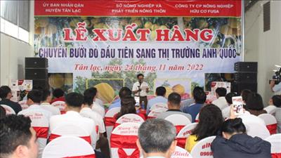 Xuất khẩu thành công bưởi đỏ Tân Lạc sang thị trường Vương quốc Anh