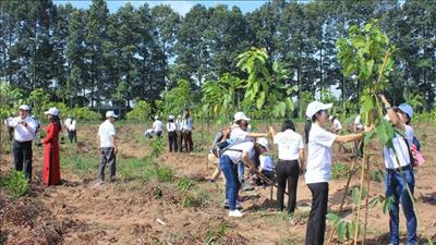 Quỹ Bảo vệ môi trường Việt Nam triển khai nhiệm vụ năm 2024