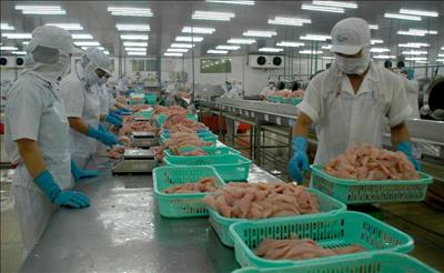Xuất khẩu thủy sản tháng 9 tiếp tục giảm