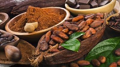 Phát hiện flavanols có khả năng chống béo phì