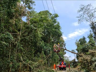Điện lực Thành phố Điện Biên Phủ khắc phục sự cố sau mưa bão