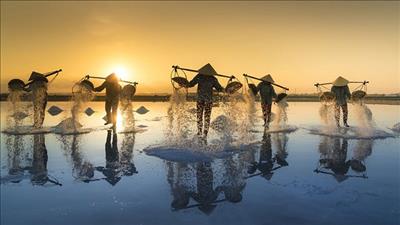 Đầu tư phát triển toàn diện ngành sản xuất muối thủ công