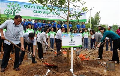 Thêm 100.000 cây xanh được trồng tại Bắc Kạn
