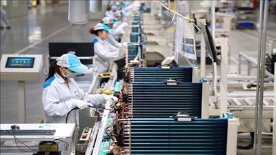 Trao đổi quốc tế về quản lý các chất gây suy giảm tầng ozone