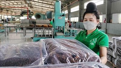 Triển khai hiệu quả nghị quyết về phát triển nông nghiệp ở Sơn La