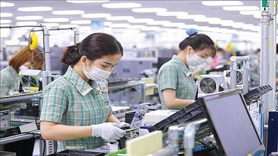 Kinh tế tiếp đà tăng trưởng, lực lượng lao động tăng mạnh trong quý cuối năm 2020