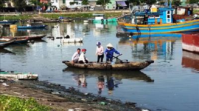 Chế phẩm vi sinh xử lý ô nhiễm chất thải hữu cơ