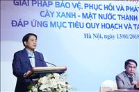 Chủ tịch HN: Nhiều người đổ nước sôi, dầu xuống cây xanh trước nhà