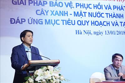 Chủ tịch HN: Nhiều người đổ nước sôi, dầu xuống cây xanh trước nhà