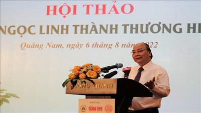 Nâng tầm sâm Ngọc Linh thành thương hiệu quốc gia