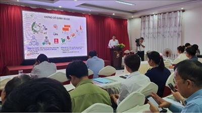 Phát triển rừng trồng gỗ lớn gắn với chứng chỉ rừng