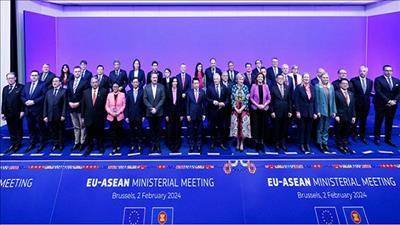 Việt Nam sẽ cùng EU xây dựng mô hình hợp tác điển hình về chuyển đổi xanh