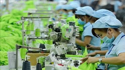 Khuyến khích doanh nghiệp do phụ nữ làm chủ thực hiện chuyển đổi xanh