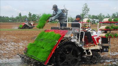 Hỗ trợ nông dân ứng dụng công nghệ cao gắn với sản xuất an toàn, tiên tiến 
