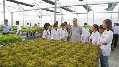 TPHCM phát triển nguồn nhân lực công nghiệp sinh học ngành nông nghiệp