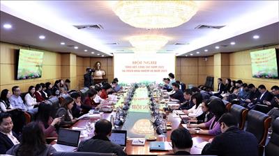 Triển khai thực hiện các đề án, chiến lược về biến đổi khí hậu
