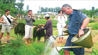 Phát triển du lịch nông nghiệp ở Đà Nẵng