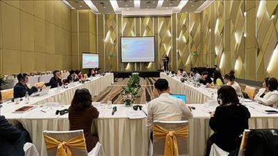 Xây dựng lộ trình phát thải ròng carbon trên địa bàn Đà Nẵng