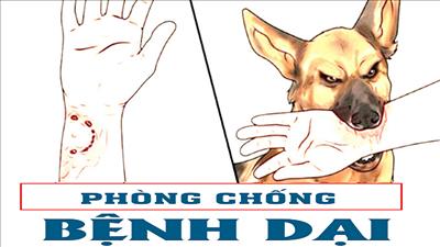 Bộ Y tế yêu cầu các địa phương triển khai biện pháp cấp bách phòng, chống bệnh dại