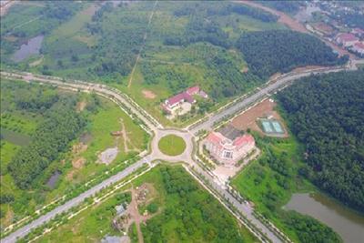 Bản tin bất động sản số 1/2020