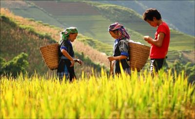 Giúp đồng bào dân tộc thiểu số Tây Bắc ứng phó với biến đổi khí hậu