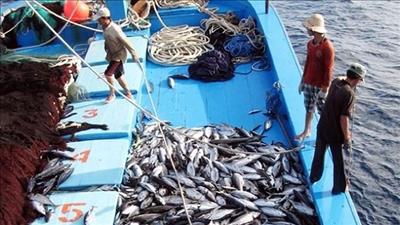 Ban hành chương trình hành động chống khai thác IUU, phát triển bền vững ngành thủy sản
