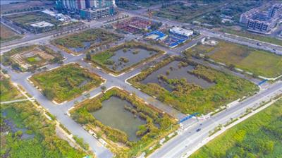 TPHCM sẽ đấu giá lại 4 lô 