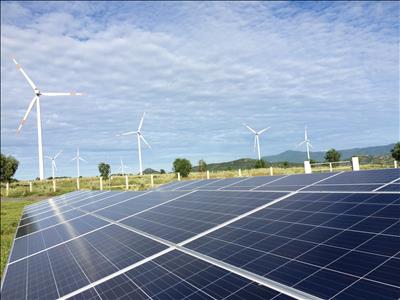 Năm 2020 sẽ đấu thầu điện mặt trời