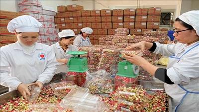 Hỗ trợ doanh nghiệp tư nhân kinh doanh bền vững