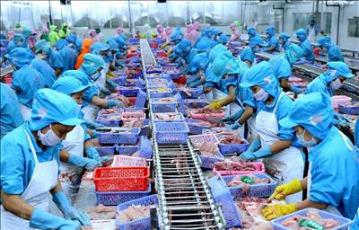 Các tỉnh, thành phía Nam có công suất chế biến thủy sản giảm do dịch COVID-19