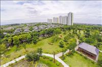Đô thị xanh phải đạt 24 chỉ tiêu