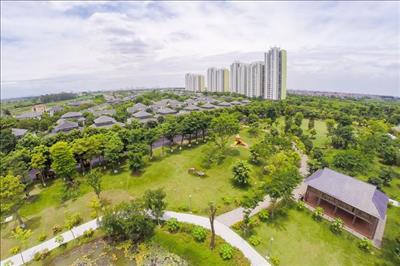 Đô thị xanh phải đạt 24 chỉ tiêu