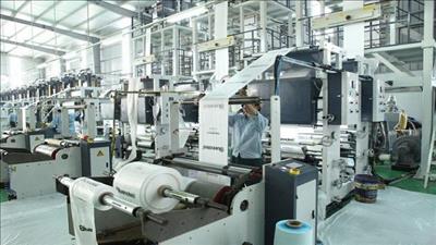 UNDP hợp tác hỗ trợ Việt Nam phát triển kinh tế tuần hoàn cho doanh nghiệp