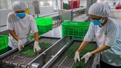 Doanh nghiệp hướng đến mục tiêu giảm phát thải 