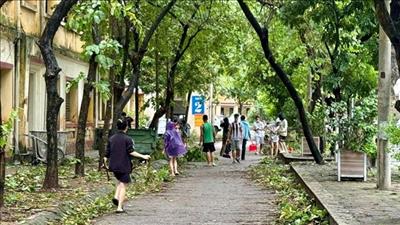 Hà Nội khẩn trương thực hiện công tác vệ sinh môi trường sau bão lũ