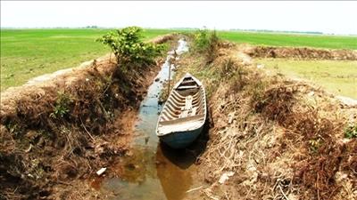 Tích cực phòng, chống hạn hán, xâm nhập mặn tại Đồng Tháp