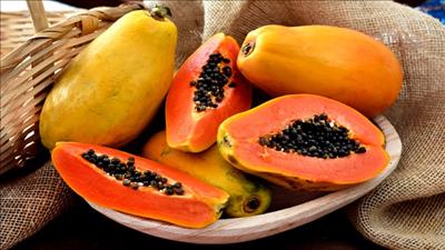 Những thực phẩm tốt cho hệ tiêu hóa ngày nắng nóng