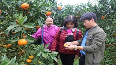 Phát triển kinh tế xã hội từ xây dựng thương hiệu du lịch nông nghiệp