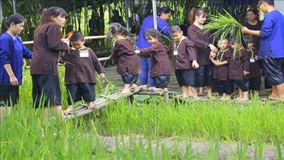 Để du lịch nông thôn ngày càng hiệu quả, đi vào chiều sâu