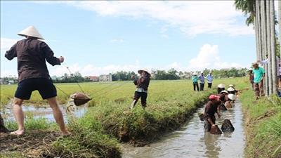 Đẩy mạnh phát triển du lịch nông thôn trong xây dựng nông thôn mới