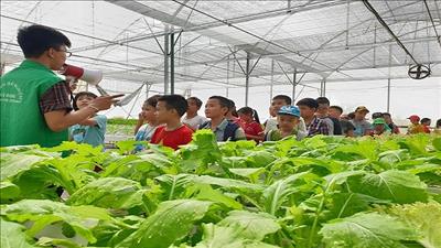Hợp tác phát triển du lịch nông thôn kết hợp chuyển đổi số