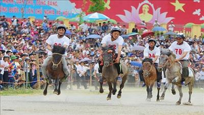 Sắp diễn ra Festival Cao nguyên trắng Bắc Hà 2022