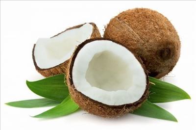 Lần đầu tiên 2000 quả dừa sáp Trà Vinh tươi được xuất bằng đường không sang Australia