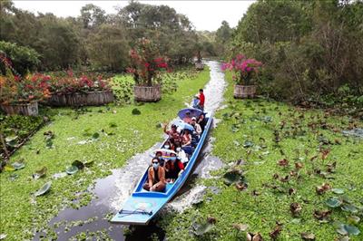 An Giang phê duyệt đề án phát triển du lịch sinh thái ở rừng tràm Trà Sư