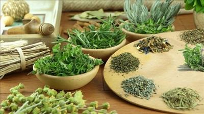 Việt Nam có tiềm năng lớn trong thị trường dược liệu toàn cầu