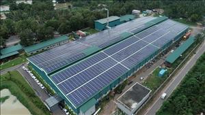 Thuê mái nhà lắp điện mặt trời