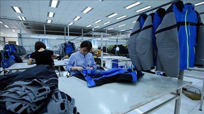 EVFTA được phê chuẩn, dự kiến có hiệu lực từ tháng 7/2020