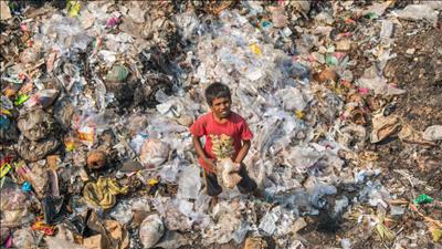 Vi sinh vật có thể phân hủy nhựa