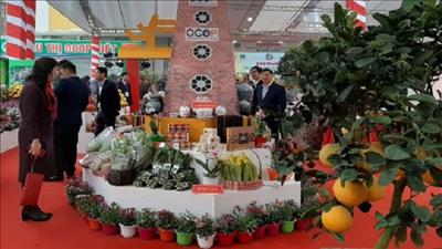 Giới thiệu, quảng bá sản phẩm nông nghiệp và làng nghề Hà Nội